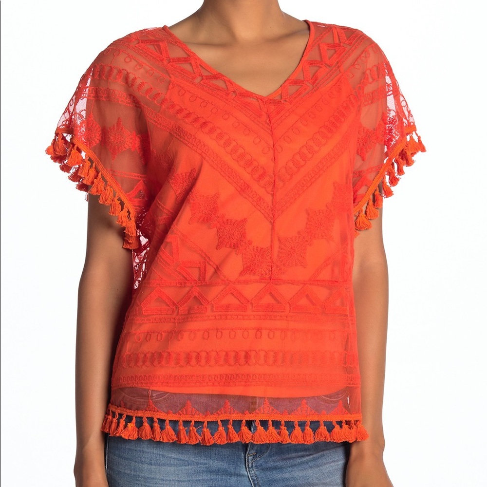 Laundry Tassel Trim Embroidered Mesh Top